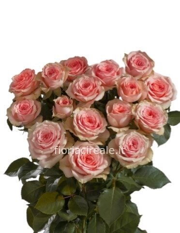 mazzo rose colorate stelo cm60 da comporre a stelo