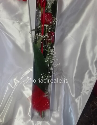 scatola regalo con nr 1 rosa rossa Red Naomi ulteriori rose euro 7,00 cadauna