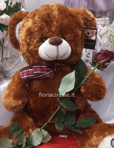 orso  peluche