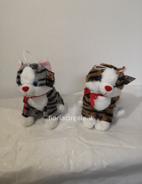 gatto peluche medio