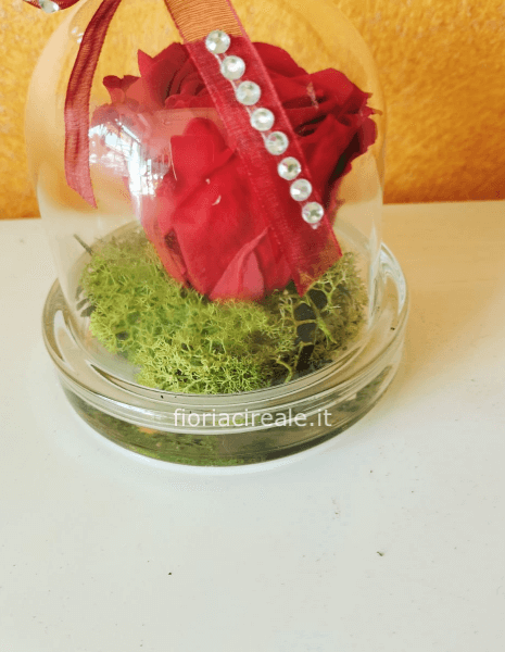 cupola in vetro con rosa stabilizzata